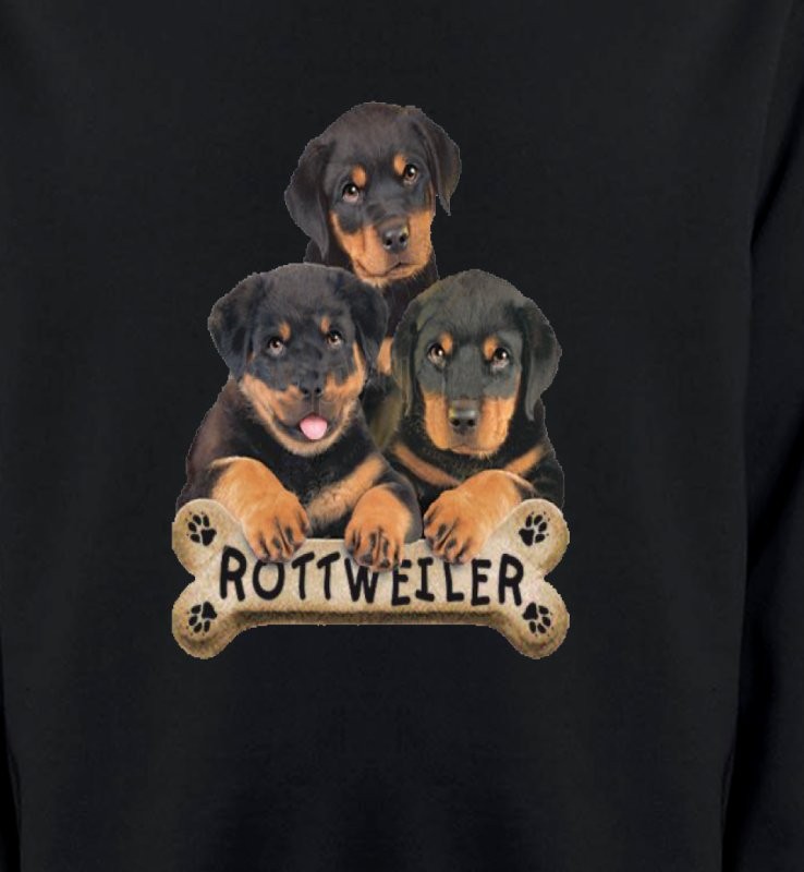 Bébés Rottweilers (R)