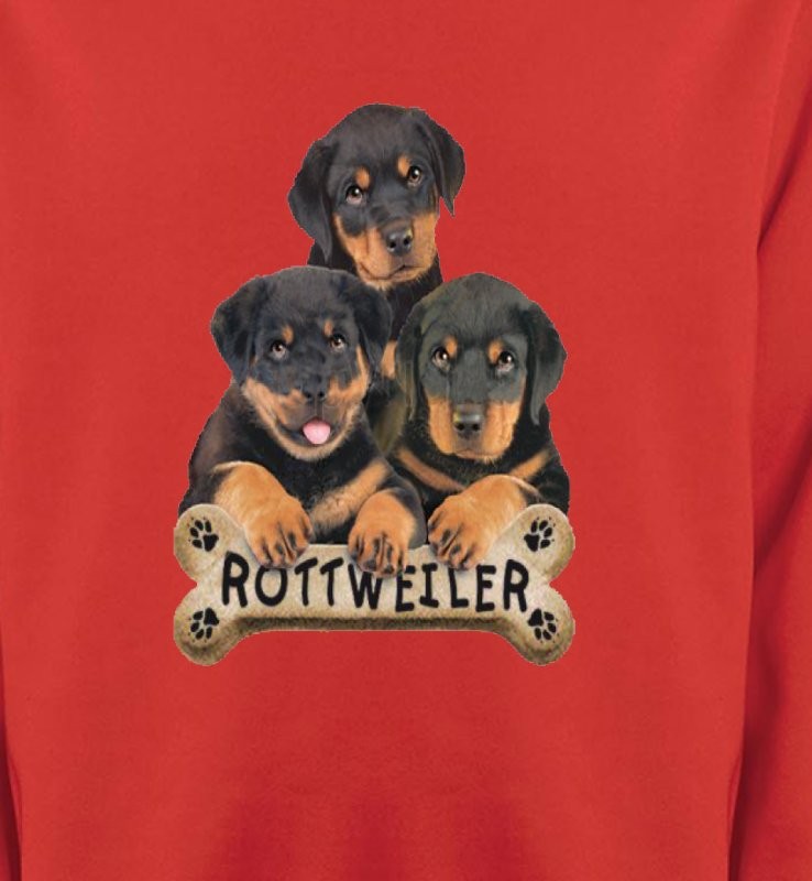 Bébés Rottweilers (R)