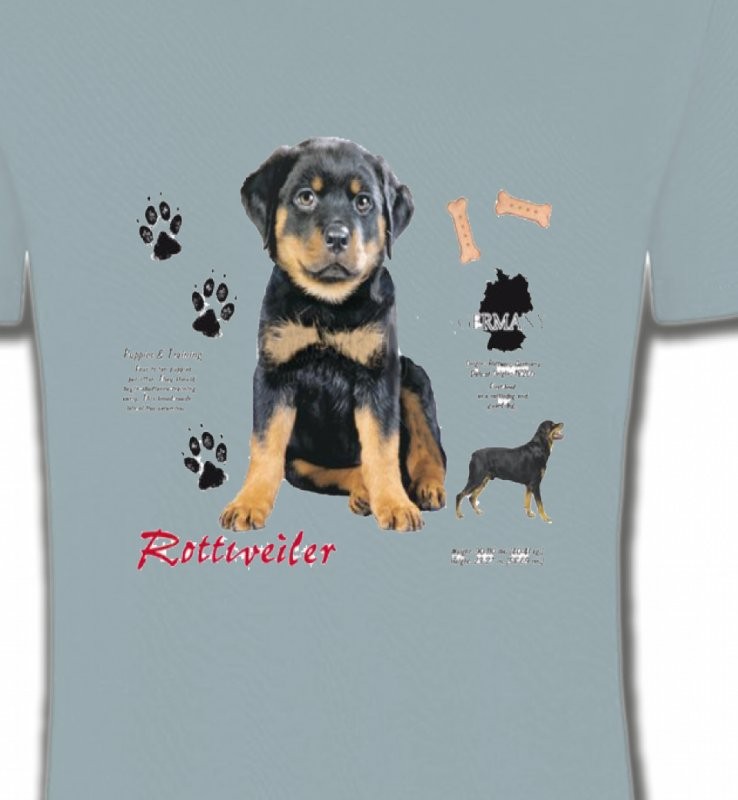 Rottweiler Chiot  (Q)