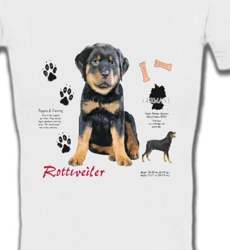 Rottweiler Chiot  (Q)