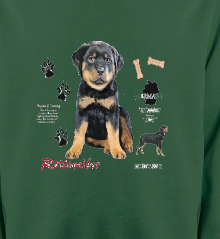 Rottweiler Chiot  (Q)