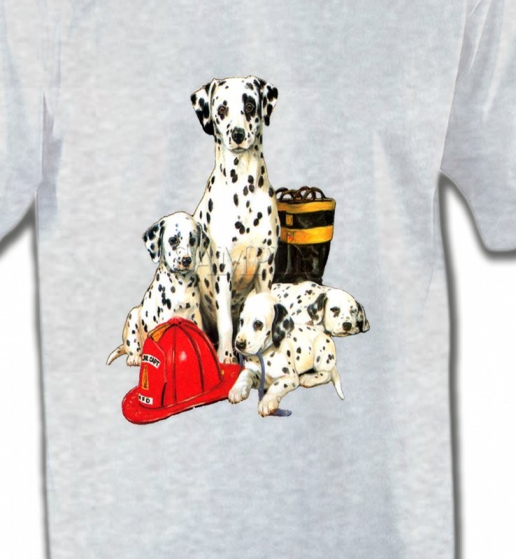 Dalmatien Famille (F)