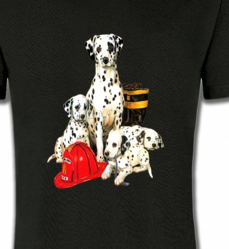 Dalmatien Famille (F)