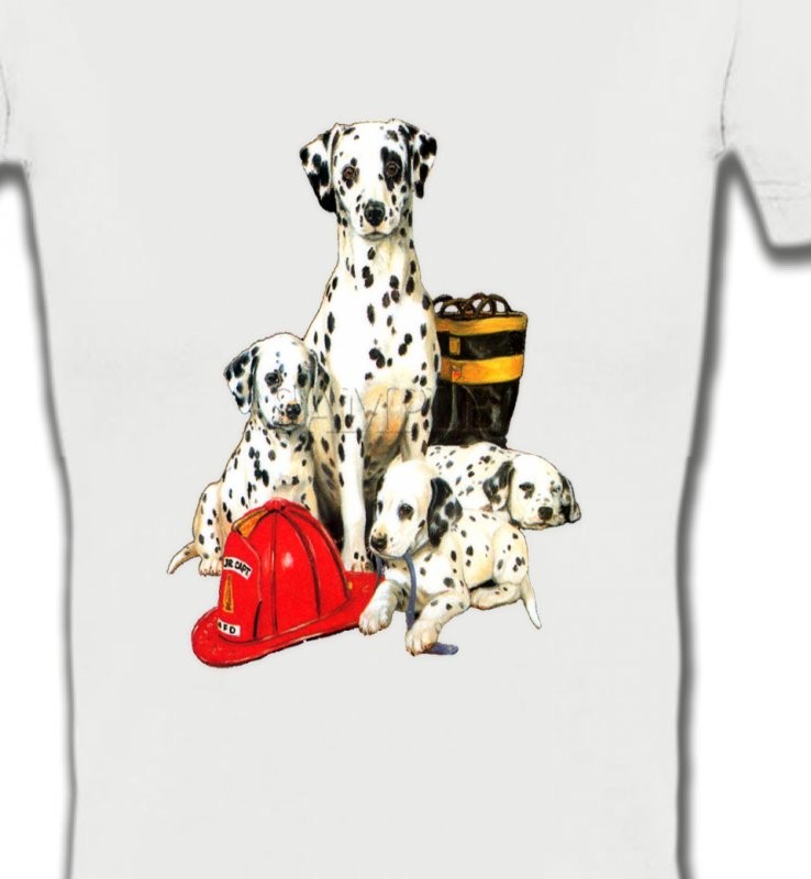 Dalmatien Famille (F)