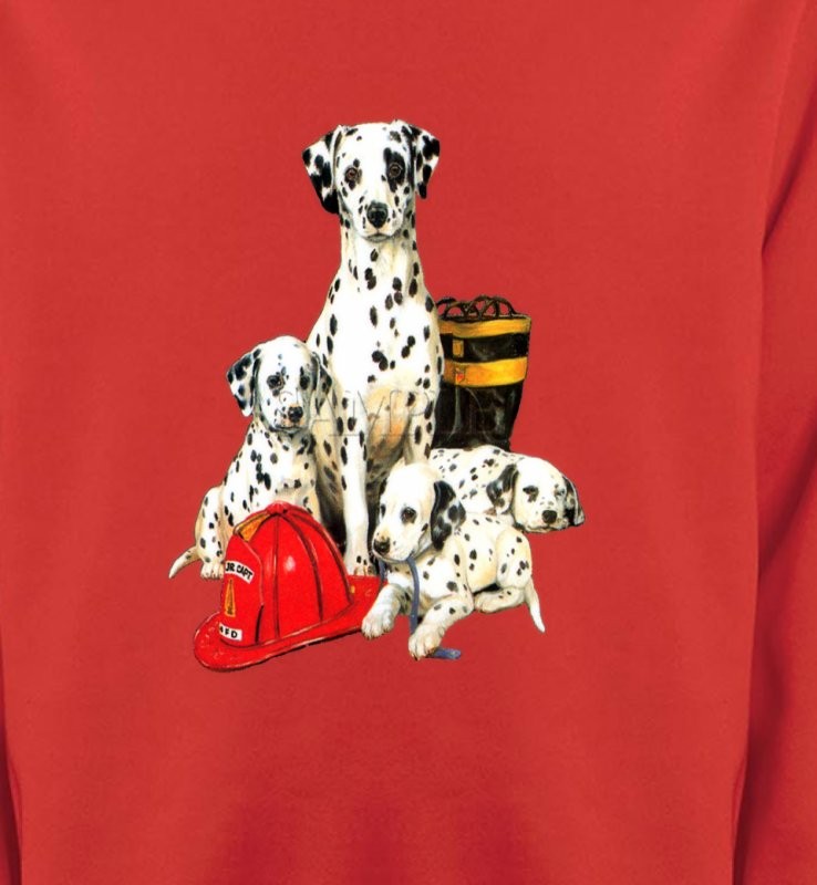 Dalmatien Famille (F)