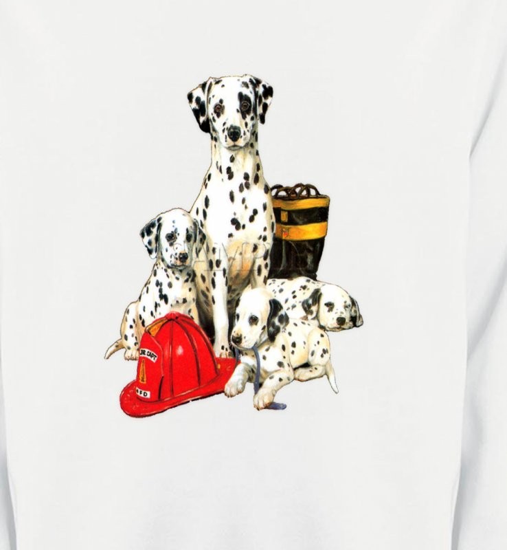 Dalmatien Famille (F)