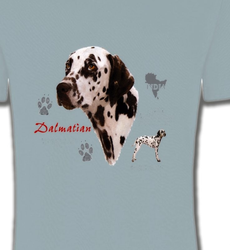 Dalmatien (N)