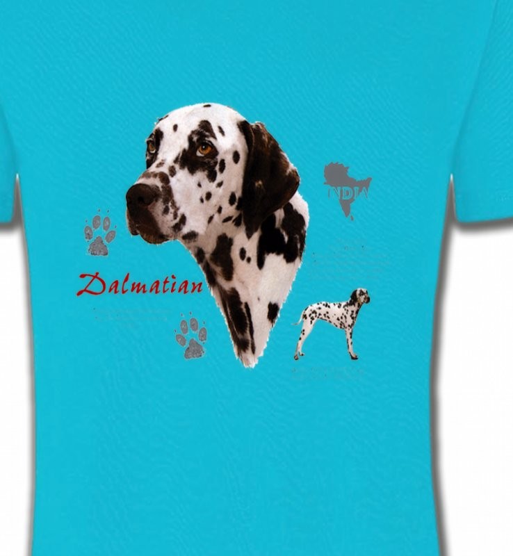 Dalmatien (N)