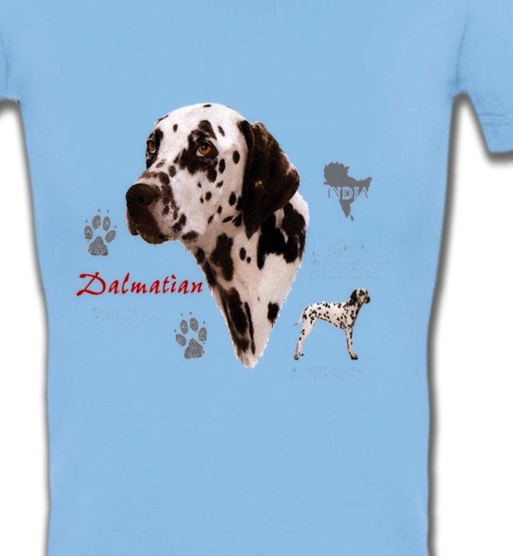 Dalmatien (N)