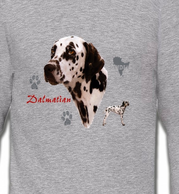 Dalmatien (N)
