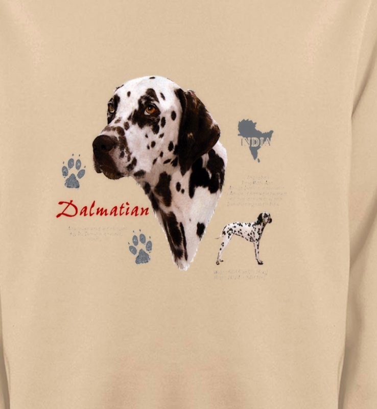 Dalmatien (N)