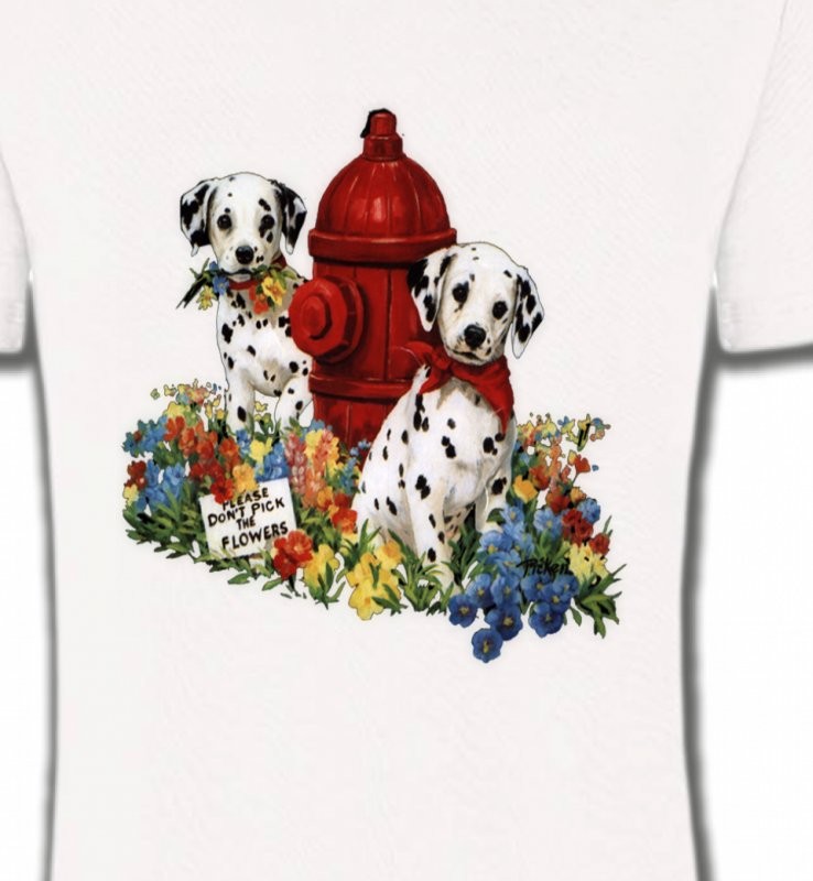 Dalmatiens chiots (A)