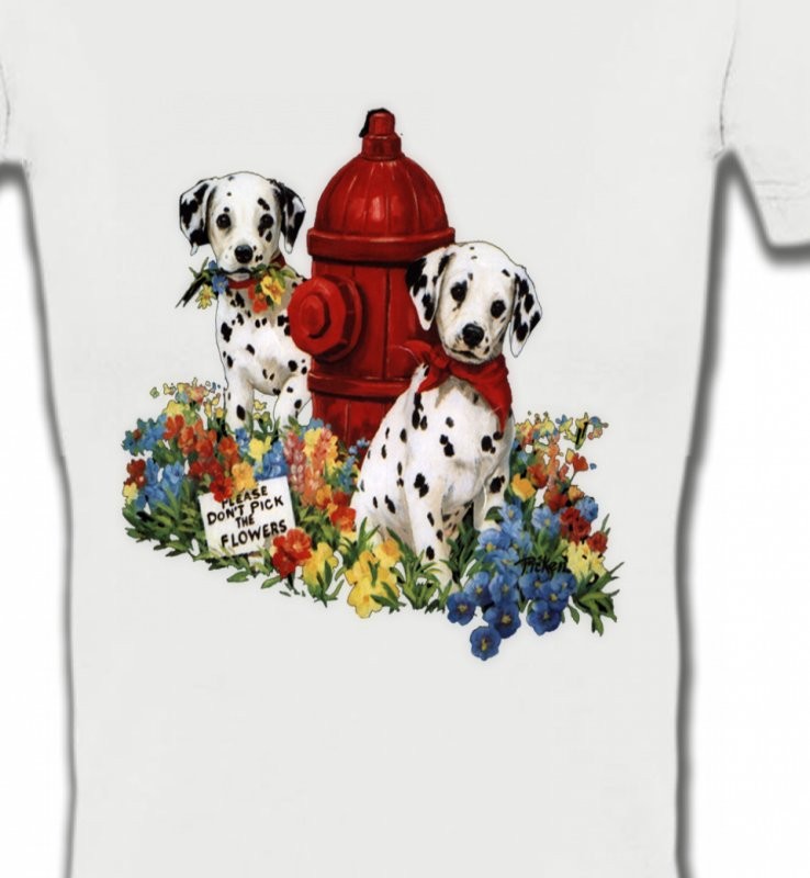 Dalmatiens chiots (A)