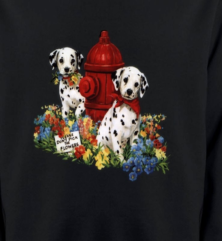 Dalmatiens chiots (A)