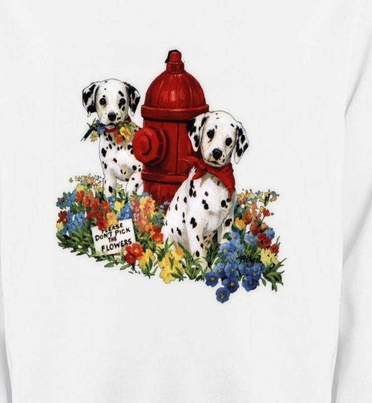 Dalmatiens chiots (A)