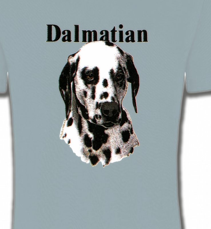 Tête Dalmatien (H)