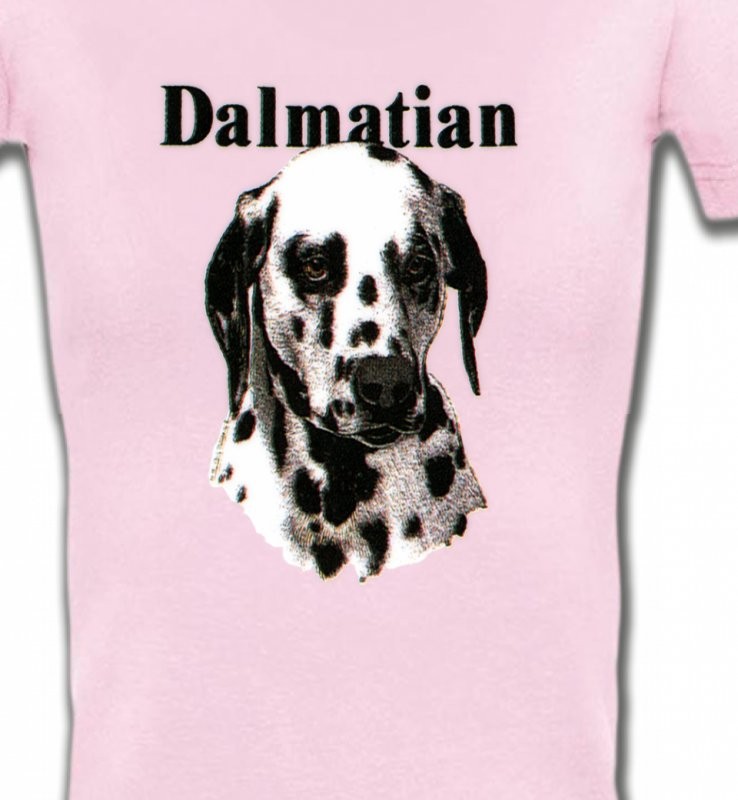 Tête Dalmatien (H)