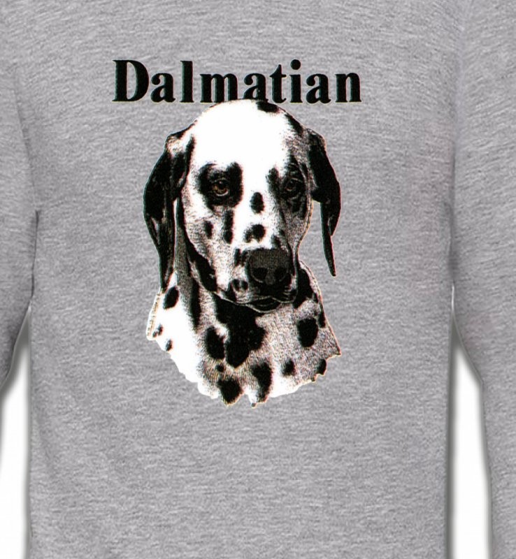Tête Dalmatien (H)