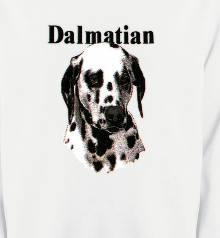 Tête Dalmatien (H)