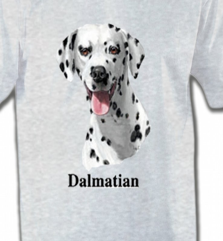 Tête Dalmatien (D)