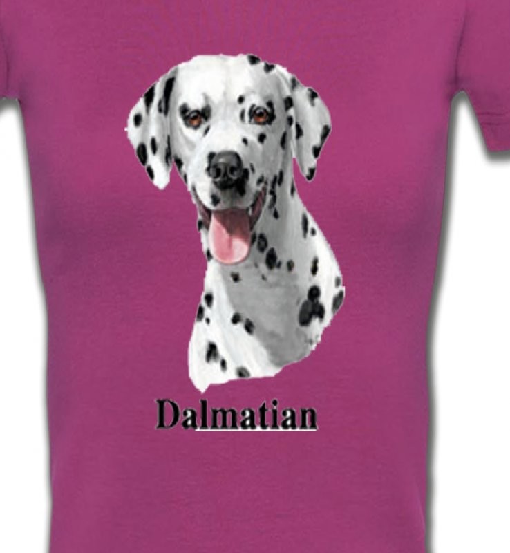 Tête Dalmatien (D)