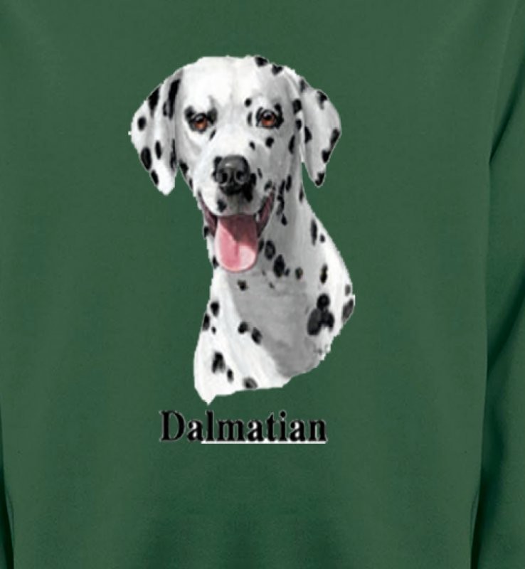 Tête Dalmatien (D)