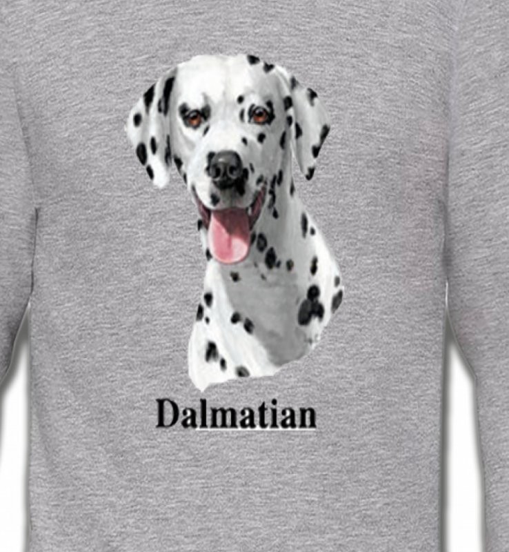 Tête Dalmatien (D)