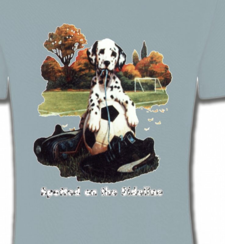 Dalmatien Football(M)