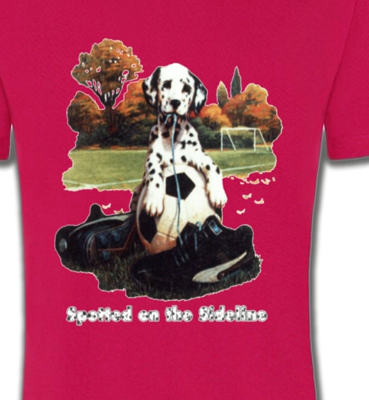 Dalmatien Football(M)