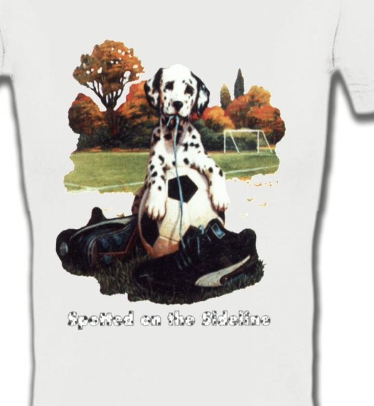 Dalmatien Football(M)