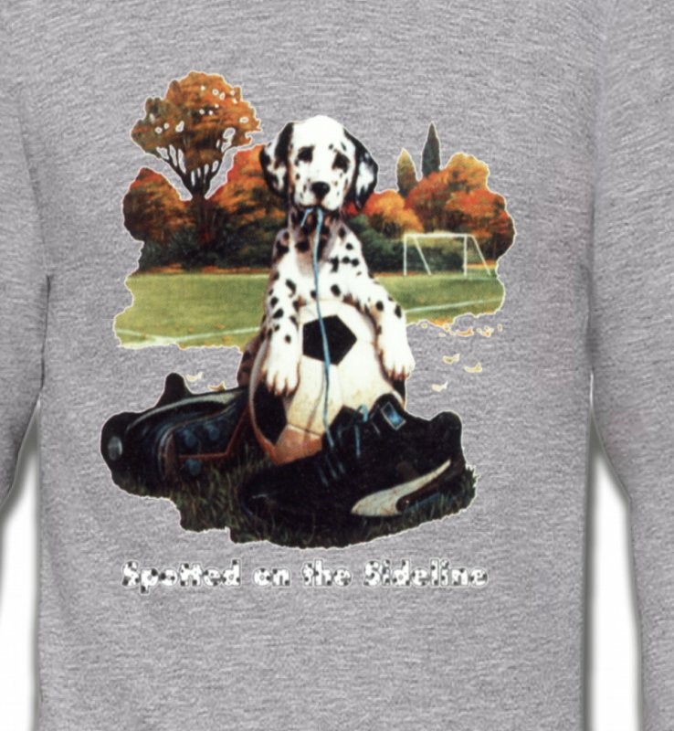 Dalmatien Football(M)