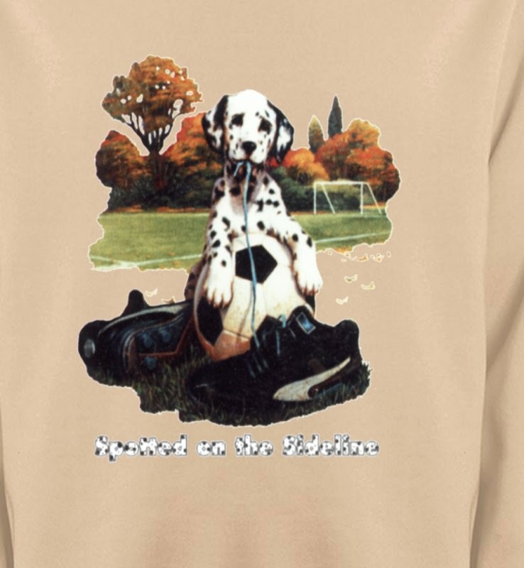 Dalmatien Football(M)