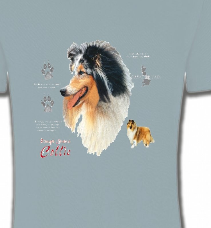 Colley (G)