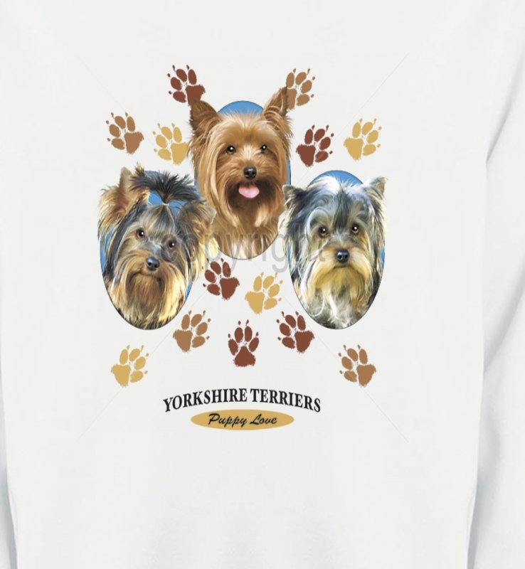 Trois têtes de Yorkshires (H)