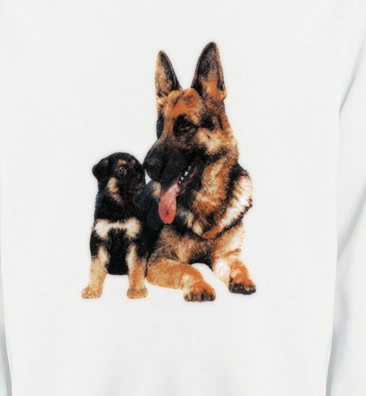 Berger Allemand et son chiot  (A)