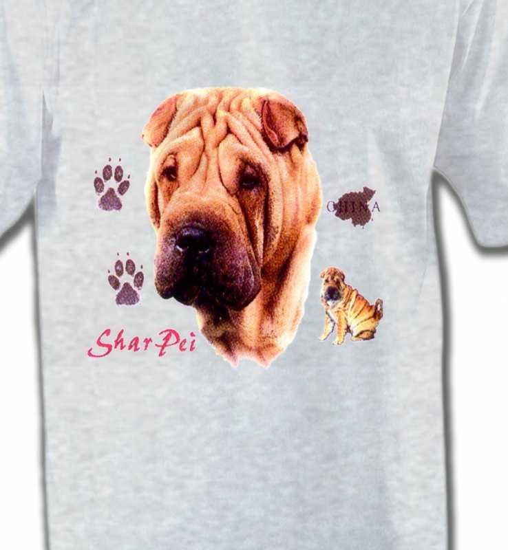 Tête de Sharpei (A)