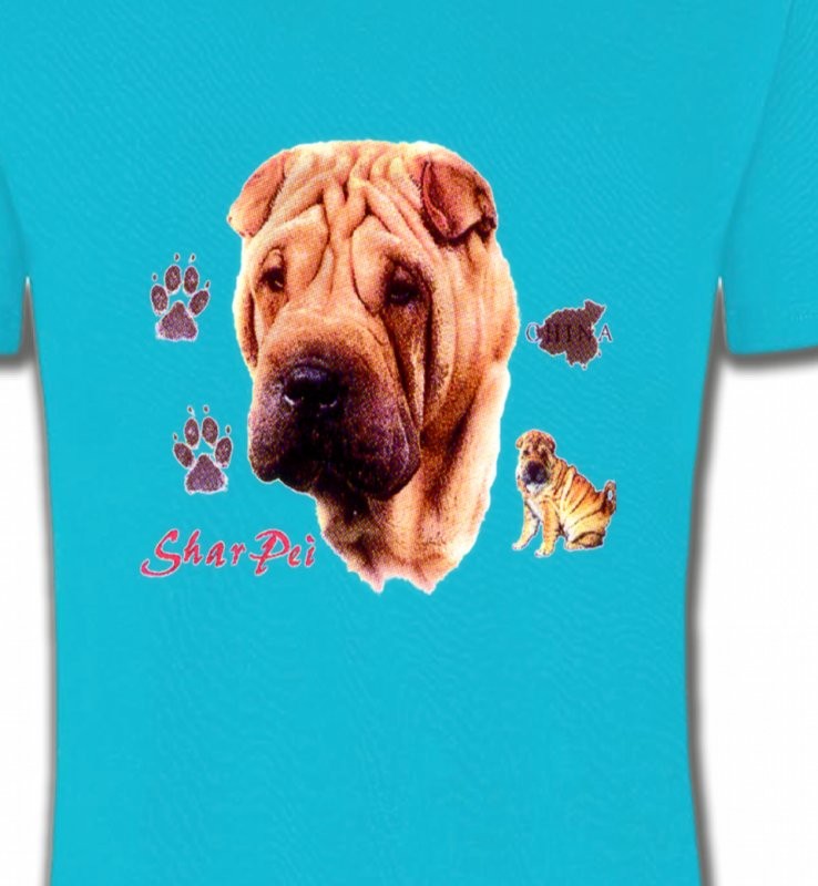 Tête de Sharpei (A)