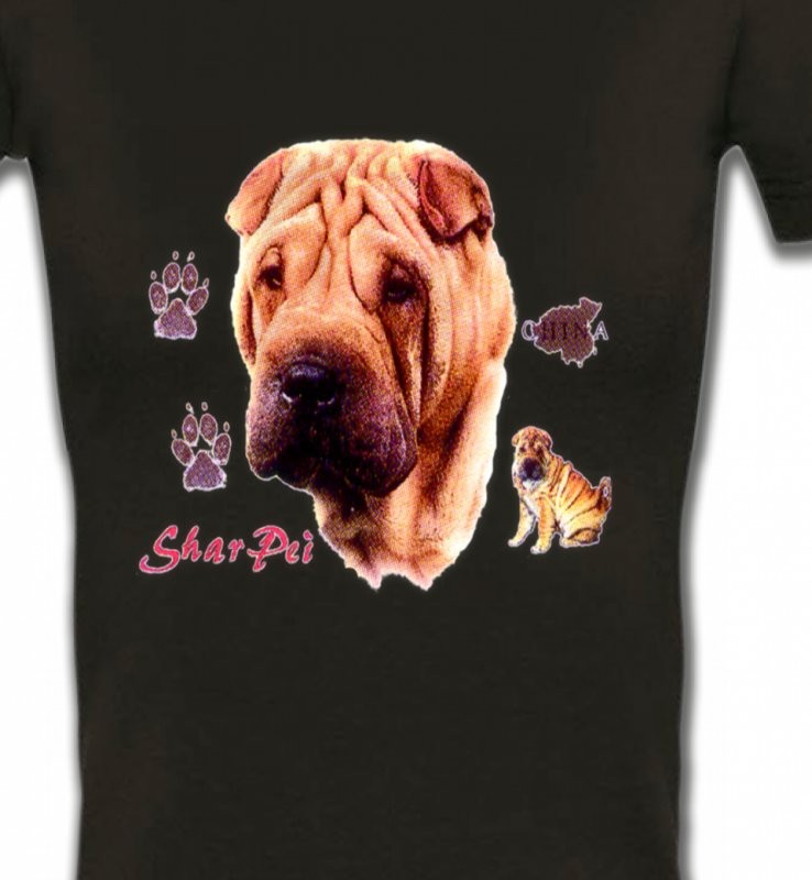 Tête de Sharpei (A)