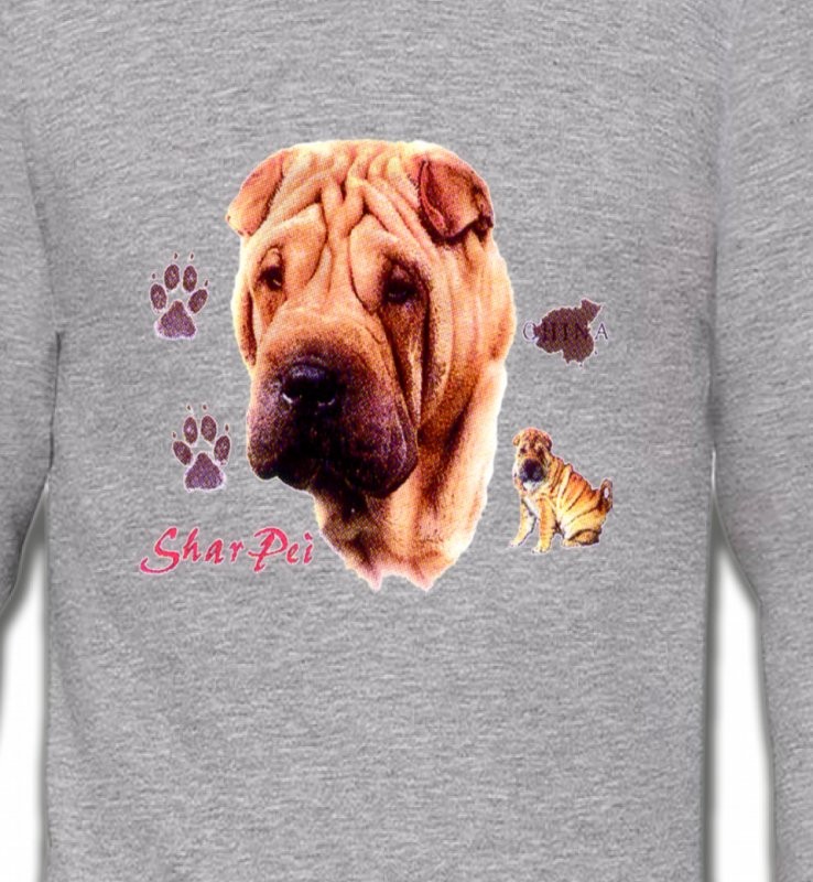 Tête de Sharpei (A)