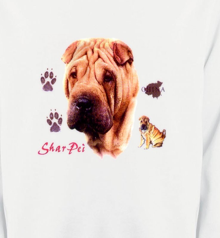 Tête de Sharpei (A)
