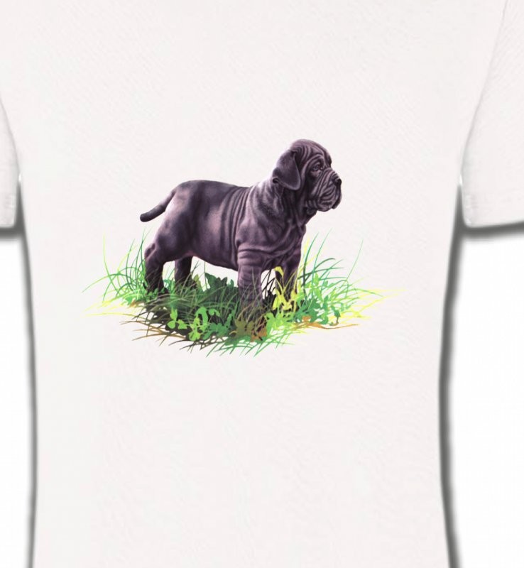 Bébé Sharpei noir (D)