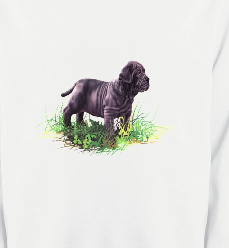 Bébé Sharpei noir (D)