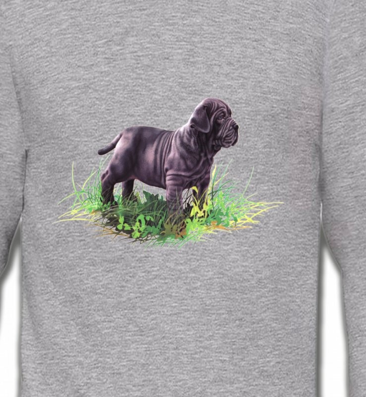 Bébé Sharpei noir (D)