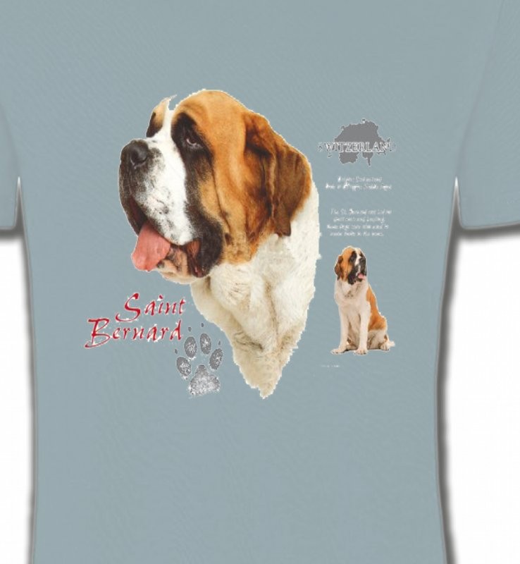 Saint Bernard (A)
