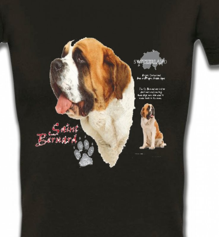 Saint Bernard (A)