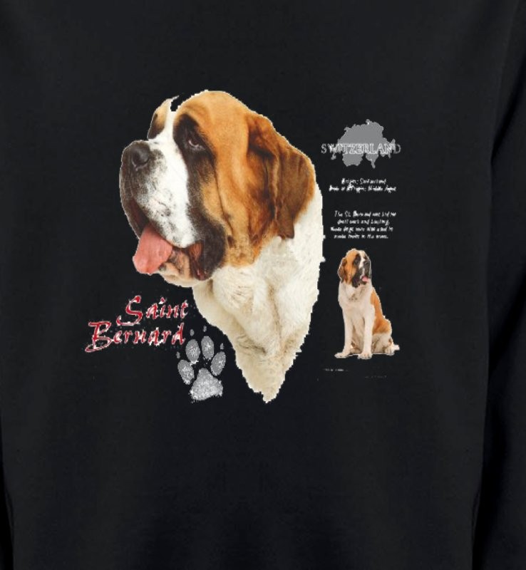 Saint Bernard (A)