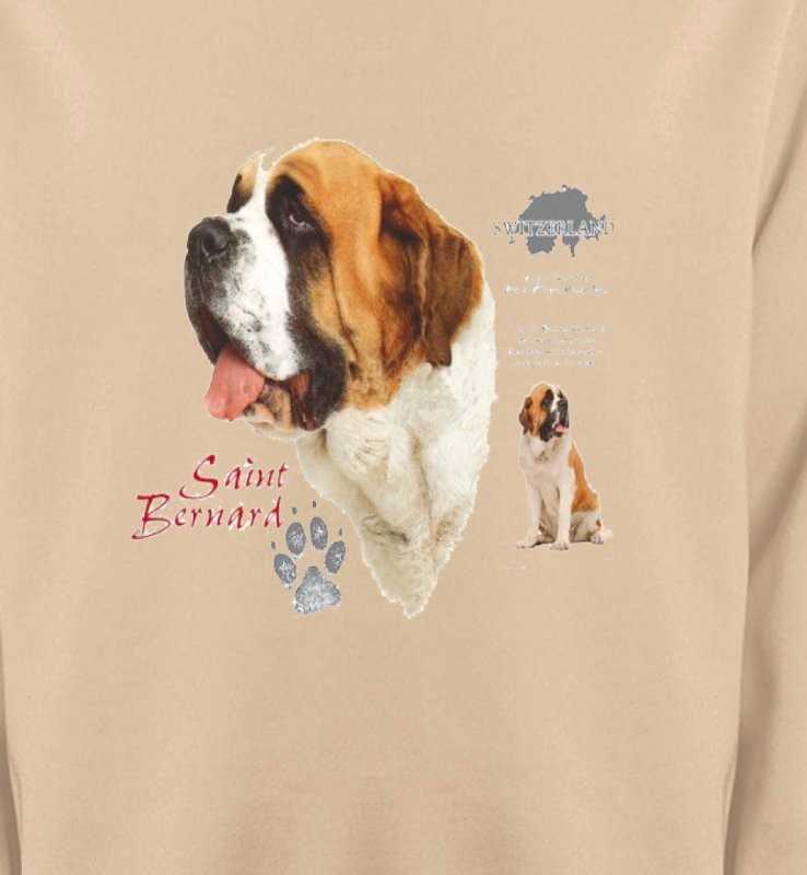 Saint Bernard (A)