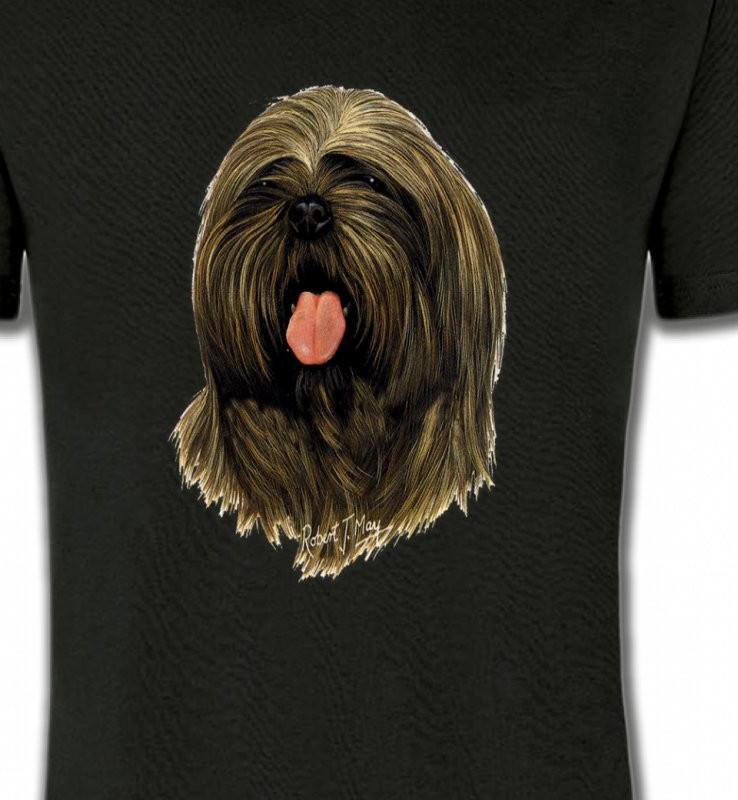 Lhassa Apso (C)